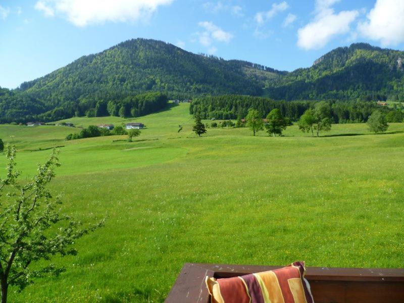 Ferienwohnungen Hollweger Inkl. Chiemgaukarte Ruhpolding Ngoại thất bức ảnh