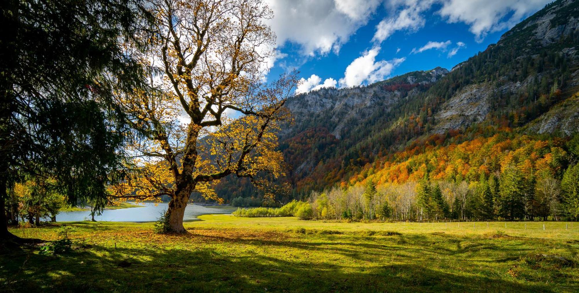 Ferienwohnungen Hollweger Inkl. Chiemgaukarte Ruhpolding Ngoại thất bức ảnh